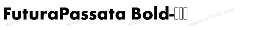 FuturaPassata Bold字体转换